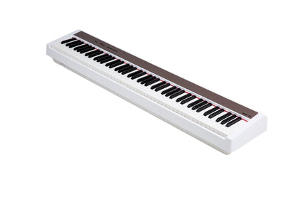 NPK-10
